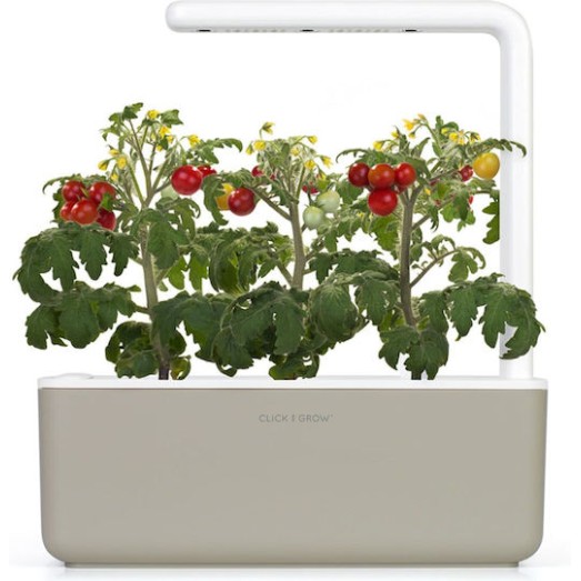 Click & Grow Σπόροι για Τοματίνια σετ 3 τεμ.