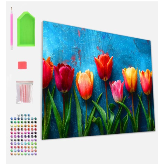 Splat Planet Diamond Painting Canvas Kit 30x40cm