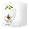 Mikamax Avocado Vase: Όταν το Design Συναντά τη Φύση