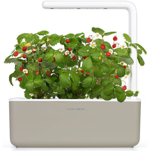 Click & Grow Σπόροι για Άγρια Φράουλα σετ 3 τεμ.