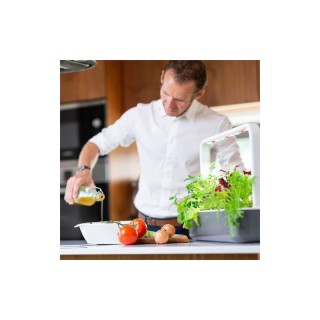 Click and Grow Smart Garden 9 Dark Grey