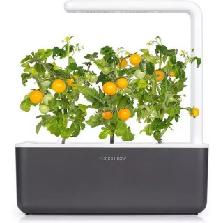 Click and Grow Yellow Tomato Σπόροι Τομάτας 3τμχ