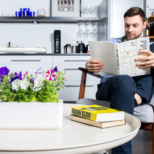 Click & Grow Σπόροι Πετούνιας 3 τεμ.