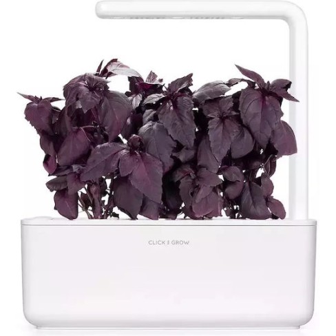 Click & Grow Plant Pod 3 Pack for Smart Garden Red Basil