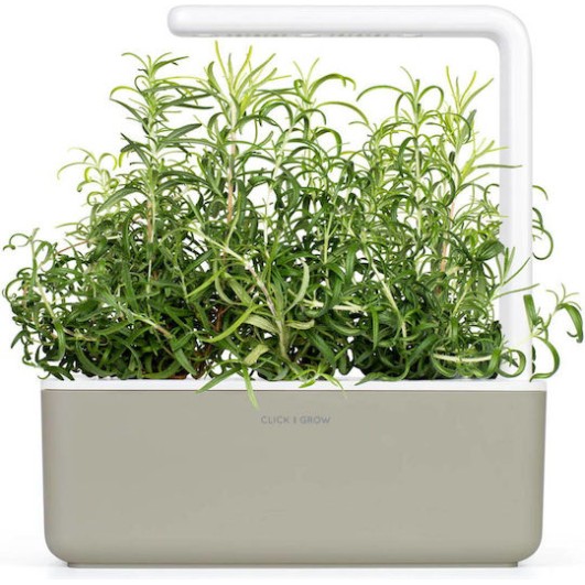 Click & Grow Σπόροι για Δενδρολίβανο σετ 3 τεμ.