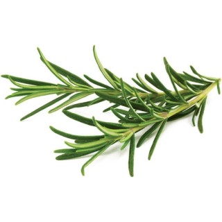 Click & Grow Σπόροι για Δενδρολίβανο σετ 3 τεμ. Click & Grow Σπόροι για Δενδρολίβανο σετ 3 τεμ.