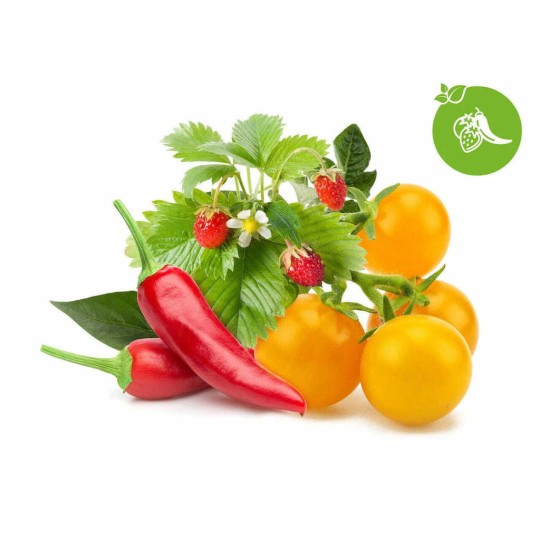 Click and Grow Seeds Multicolour Fruit and Veggie 9pcs