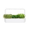 Click and Grow Seeds Cabbage Multicolour 9pcs