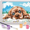 AS Company  Paint & Frame Ζωγραφίζω με ΑριθμούςLoving Puppy (1038-41012)