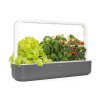 Click and Grow Smart Garden 9 Dark Grey