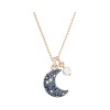 Γυναικείο Κολιέ Swarovski Luna (5671585) Γυναικείο Κολιέ Swarovski Luna (5671585)